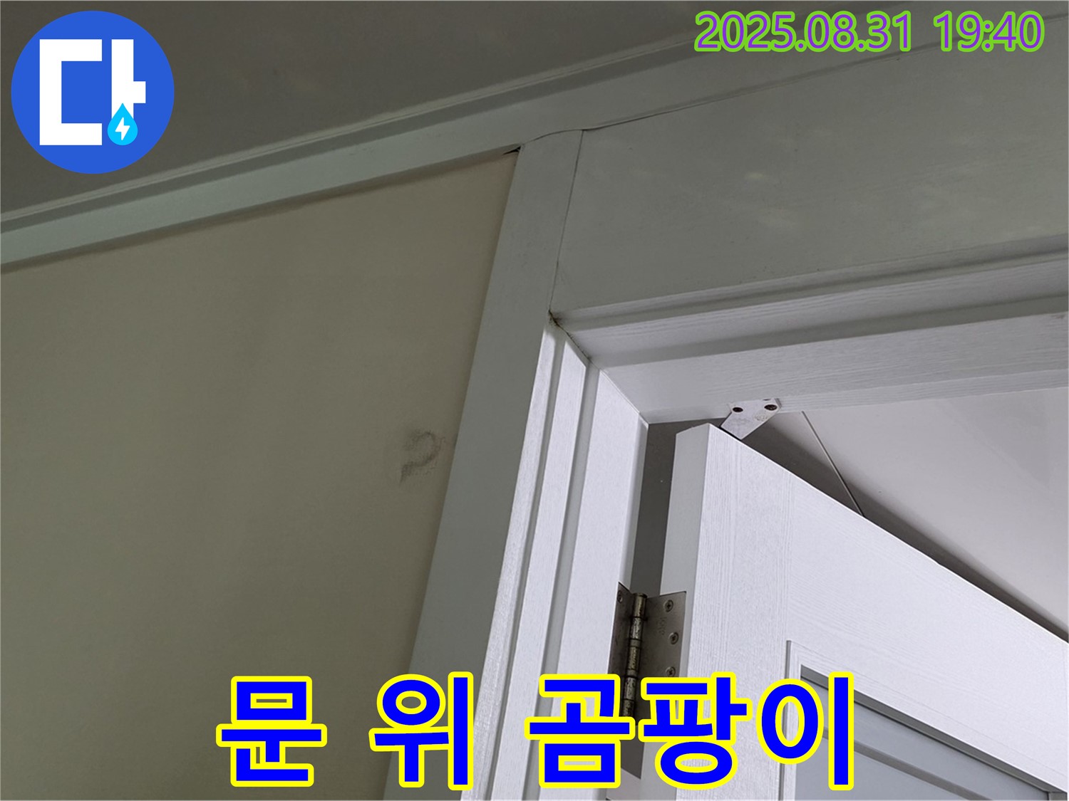 문 위 곰팡이 - 문 위 천장에 곰팡이가 발생했습니다.