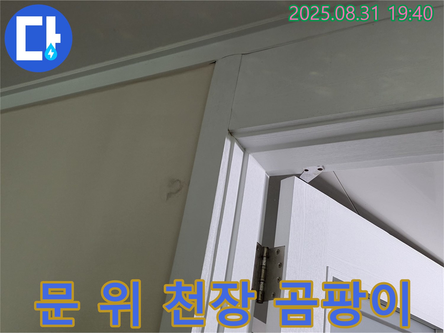 문 위 천장 곰팡이 - 문 위 천장에 곰팡이가 발생한 모습입니다.