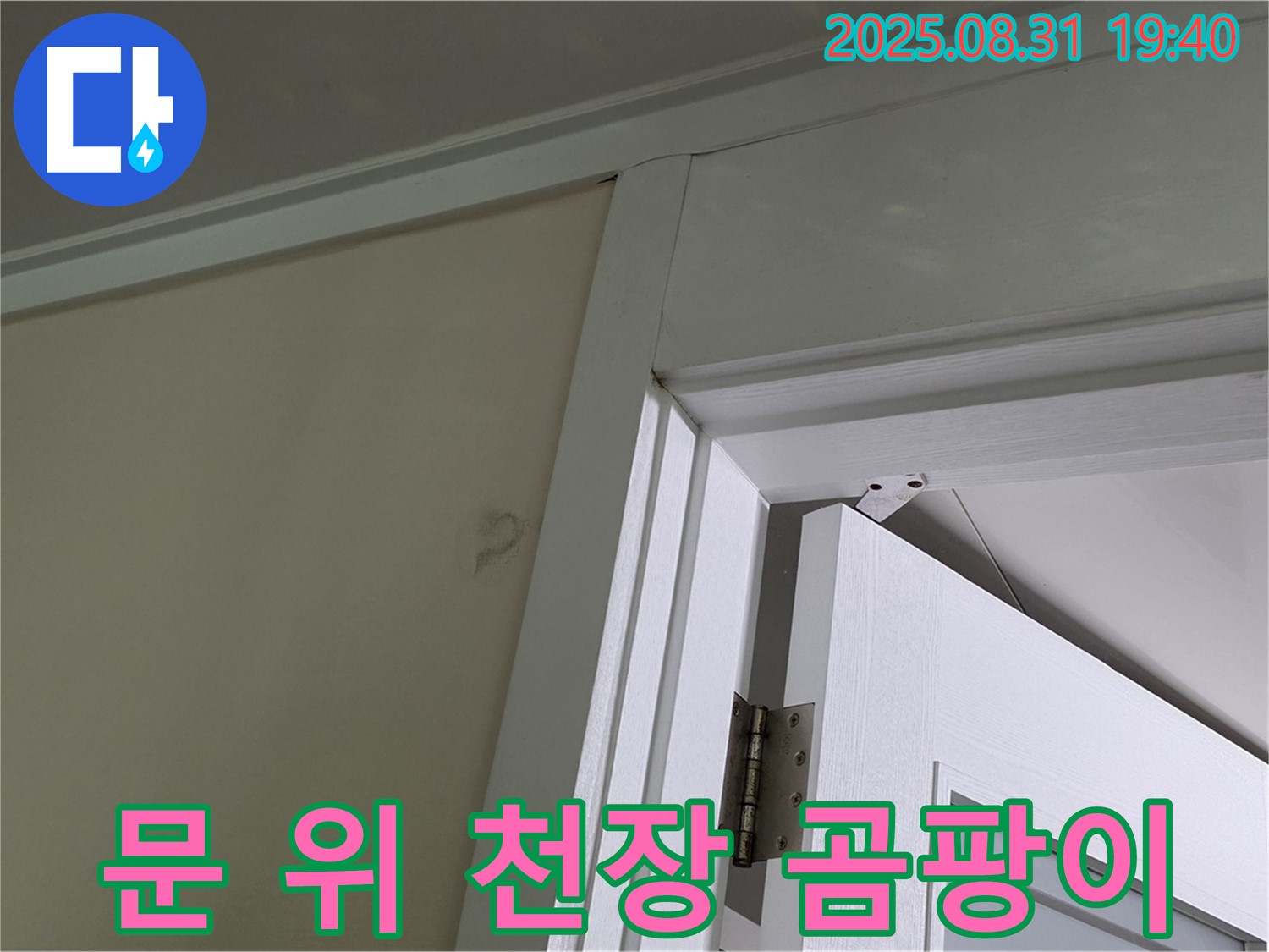 문 위 천장 곰팡이 - 문 위 천장에 곰팡이가 발생했습니다.