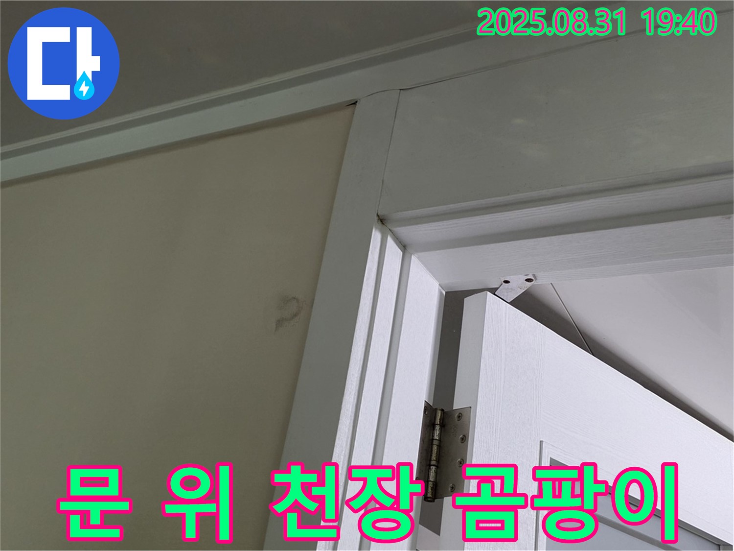 문 위 천장 곰팡이 - 천장과 문 위 사이에 곰팡이가 피어 있습니다.