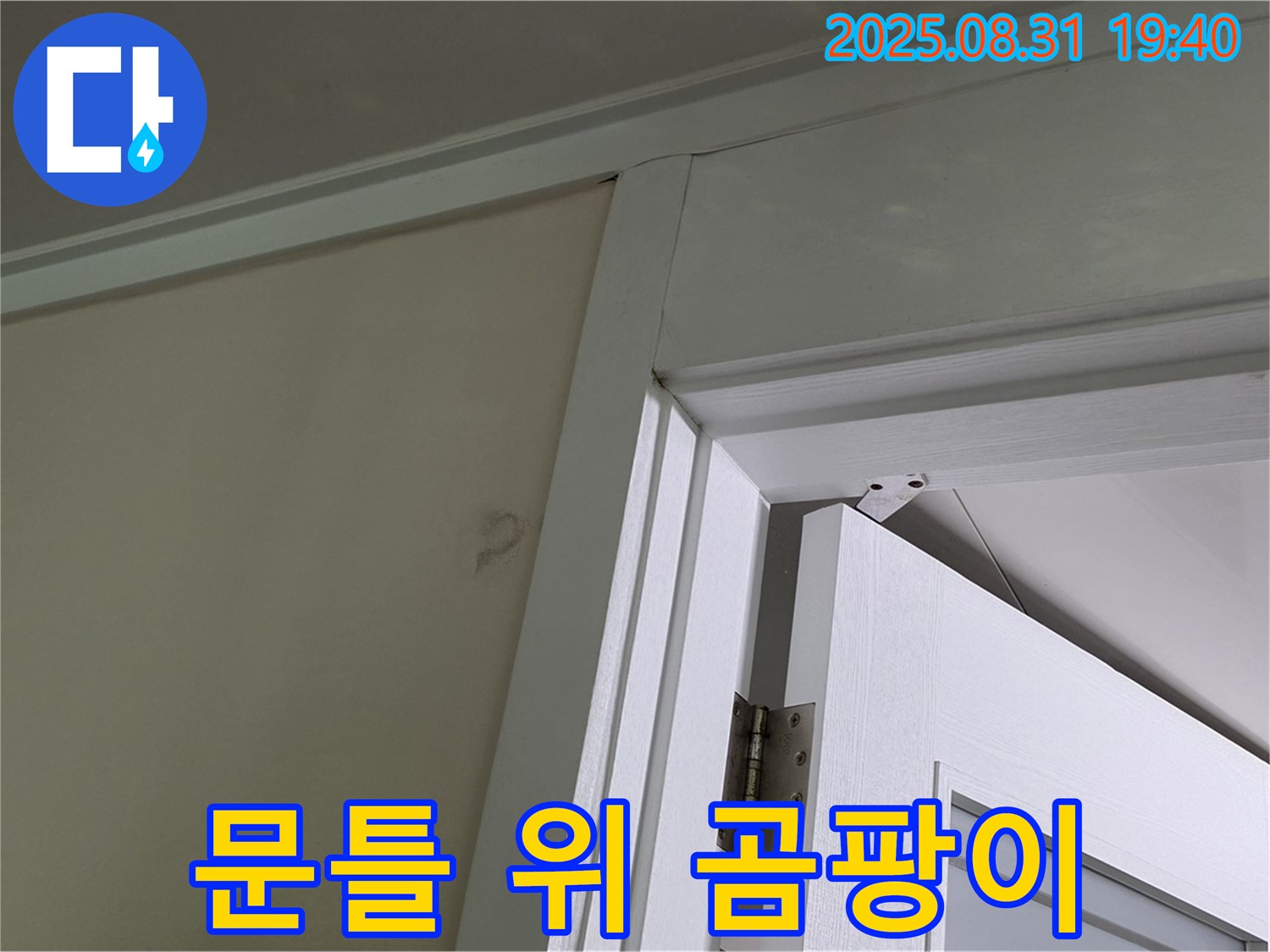 문틀 위 곰팡이 - 문틀 위 천장에 곰팡이가 발생했습니다.