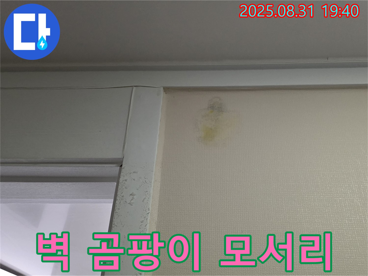벽 곰팡이 모서리 확인 - 성남 분당 산운동 누수탐지