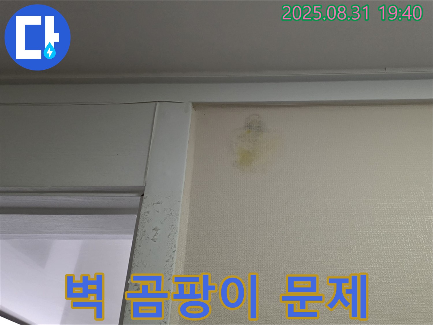 벽 곰팡이 문제 - 성남 분당 산운동 누수 - 전문가 해결