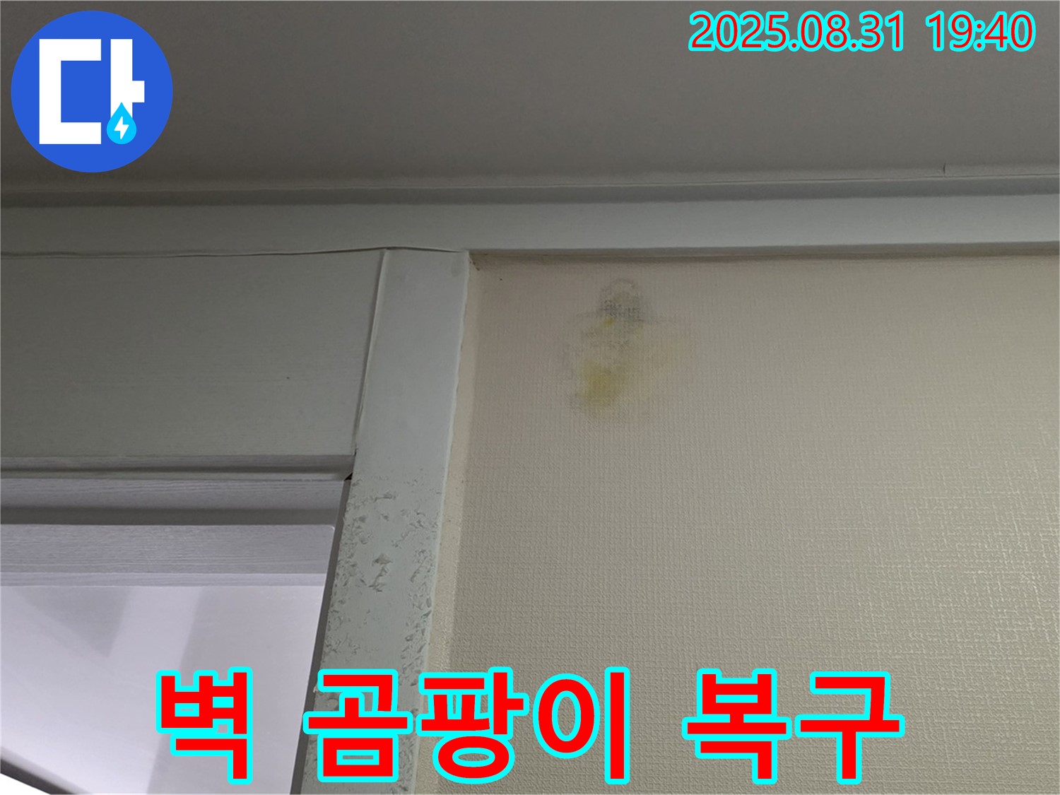 벽 곰팡이 복구 - 분당 운중동 누수 - 완벽한 탐지