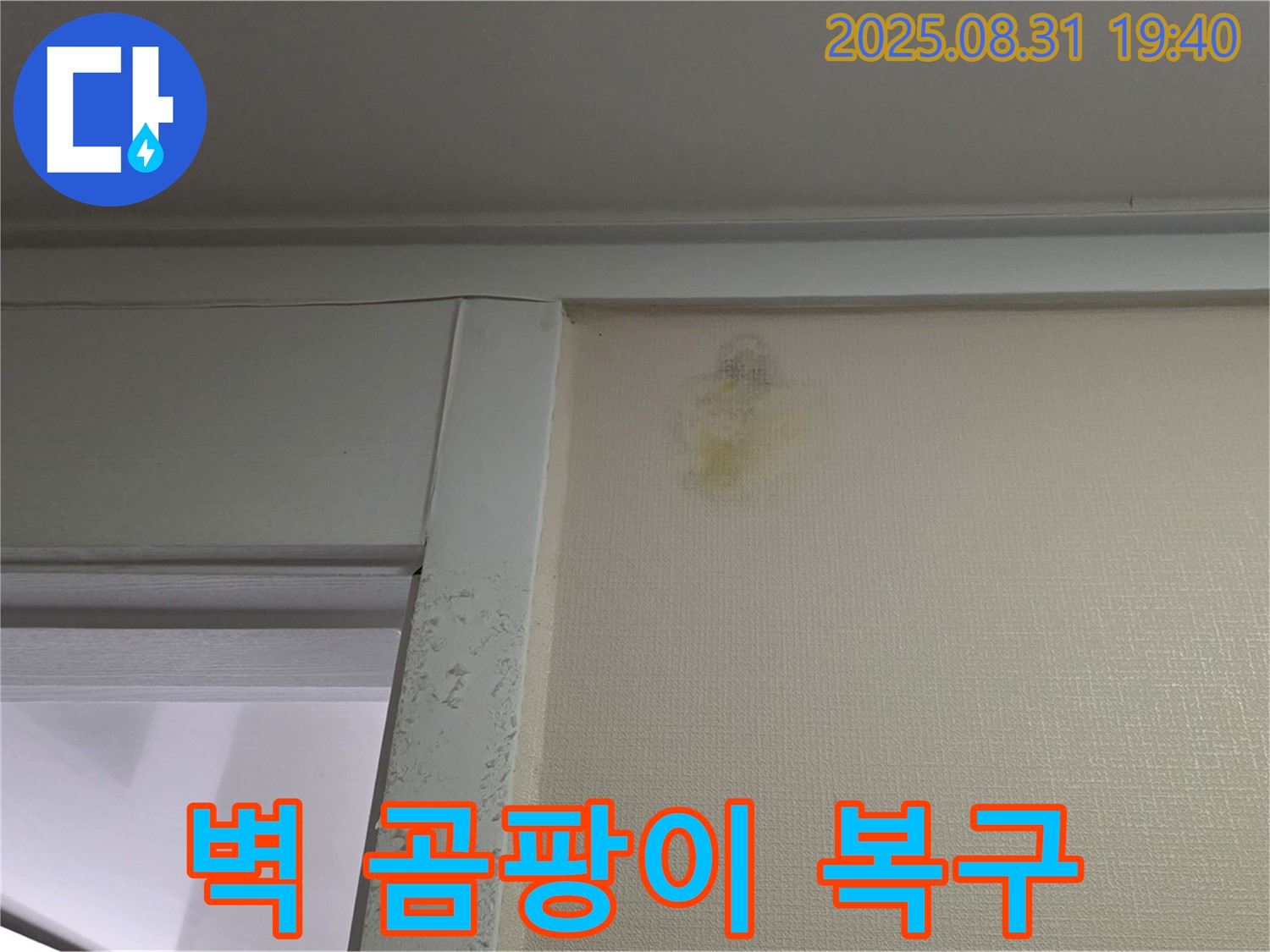 벽 곰팡이 복구 - 분당 정자동 누수 - 완벽한 탐지
