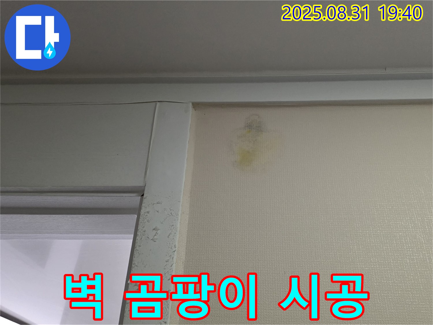 벽 곰팡이 시공 - 분당 산운동 누수 - 완벽한 시공