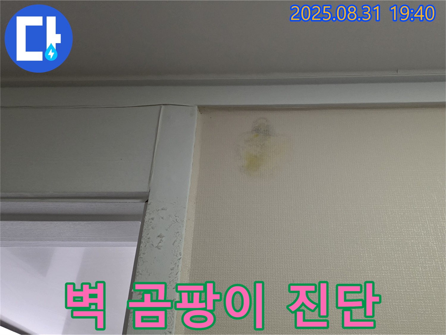 벽 곰팡이 진단 - 분당 백현동 누수 - 꼼꼼한 해결