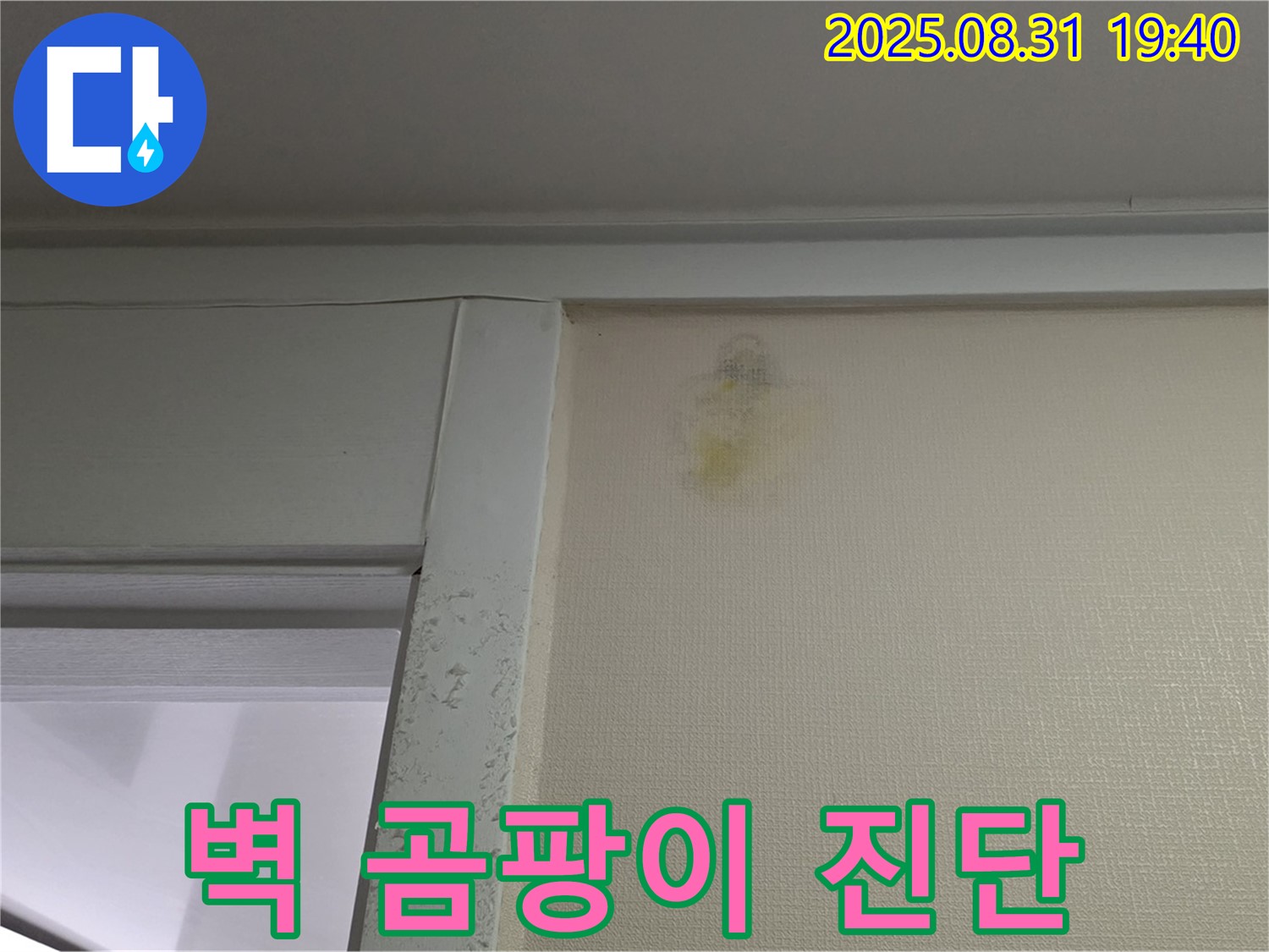 벽 곰팡이 진단 - 분당 산운동 누수 - 꼼꼼한 해결