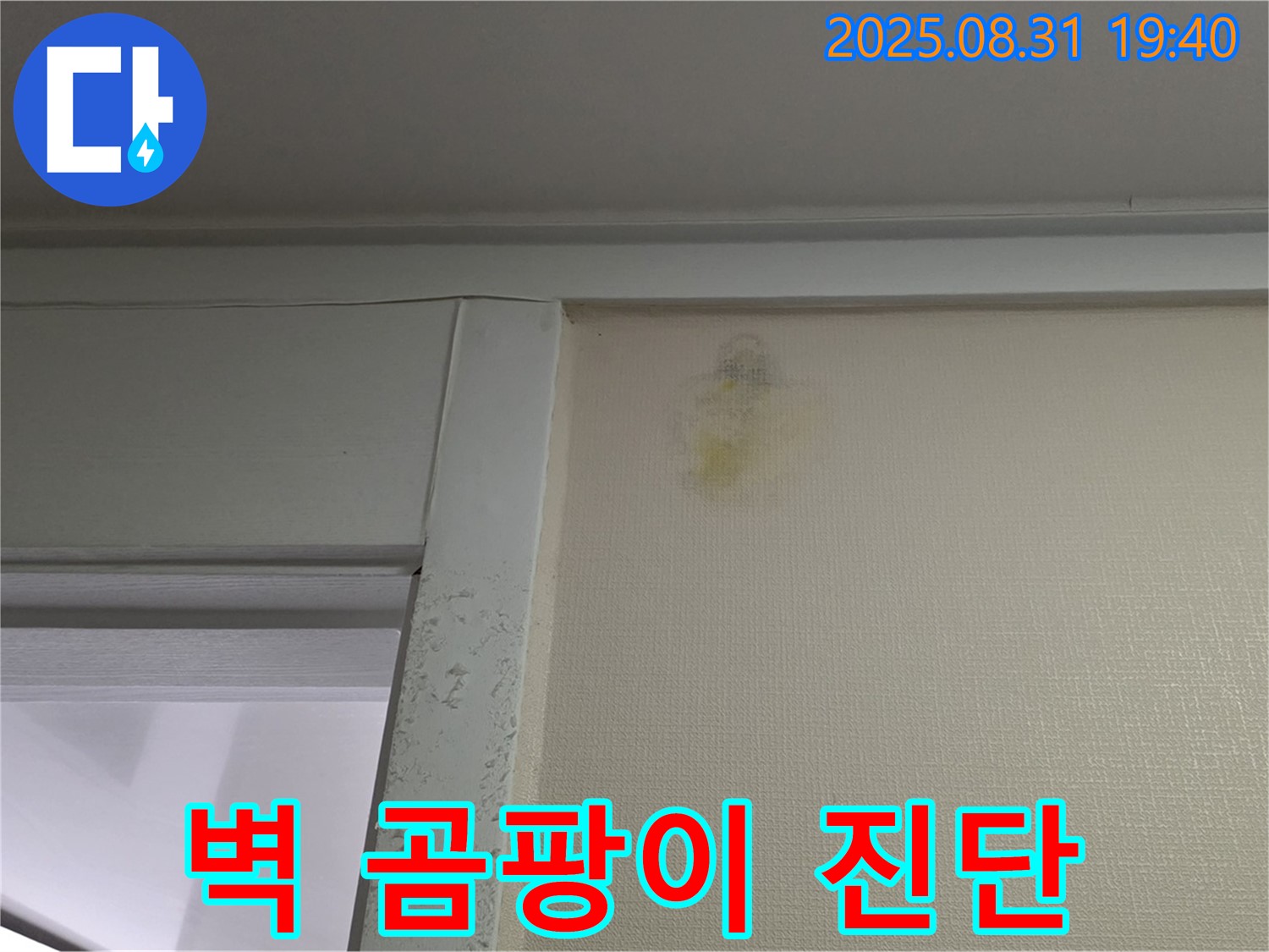 벽 곰팡이 진단 - 분당 산운동 누수 - 꼼꼼한 해결