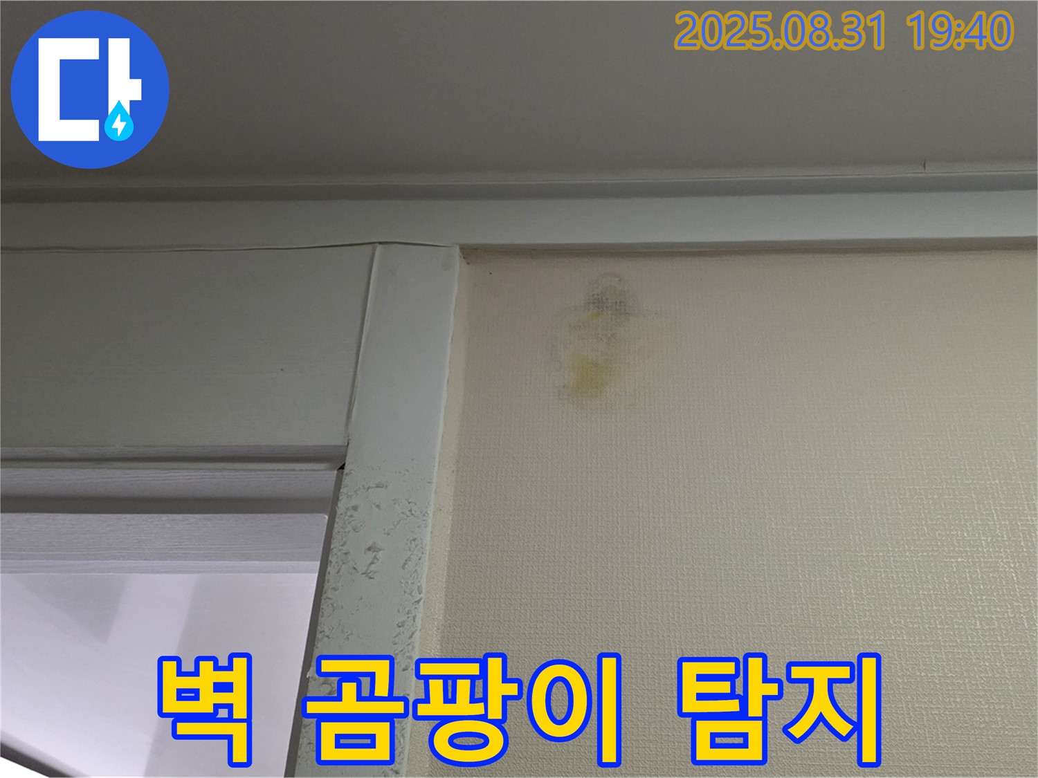 벽 곰팡이 탐지 - 성남 분당 산운동 누수탐지 - 숨겨진 누수