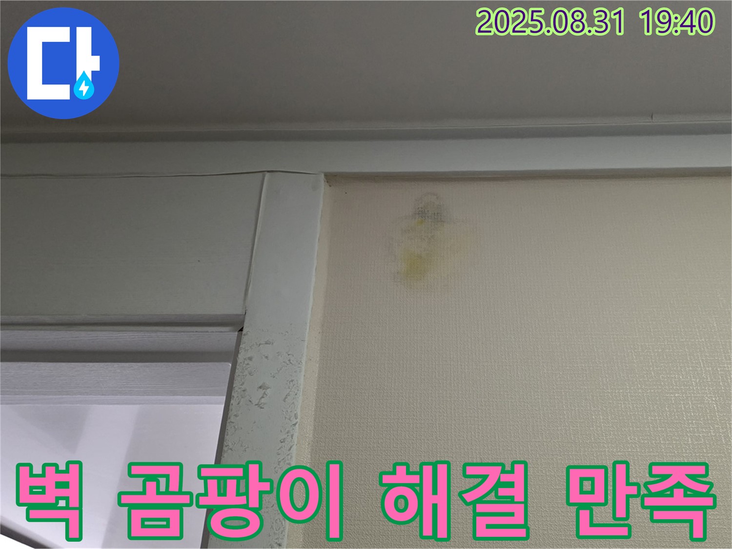 벽 곰팡이 해결 - 분당 백현동 누수 - 100% 만족