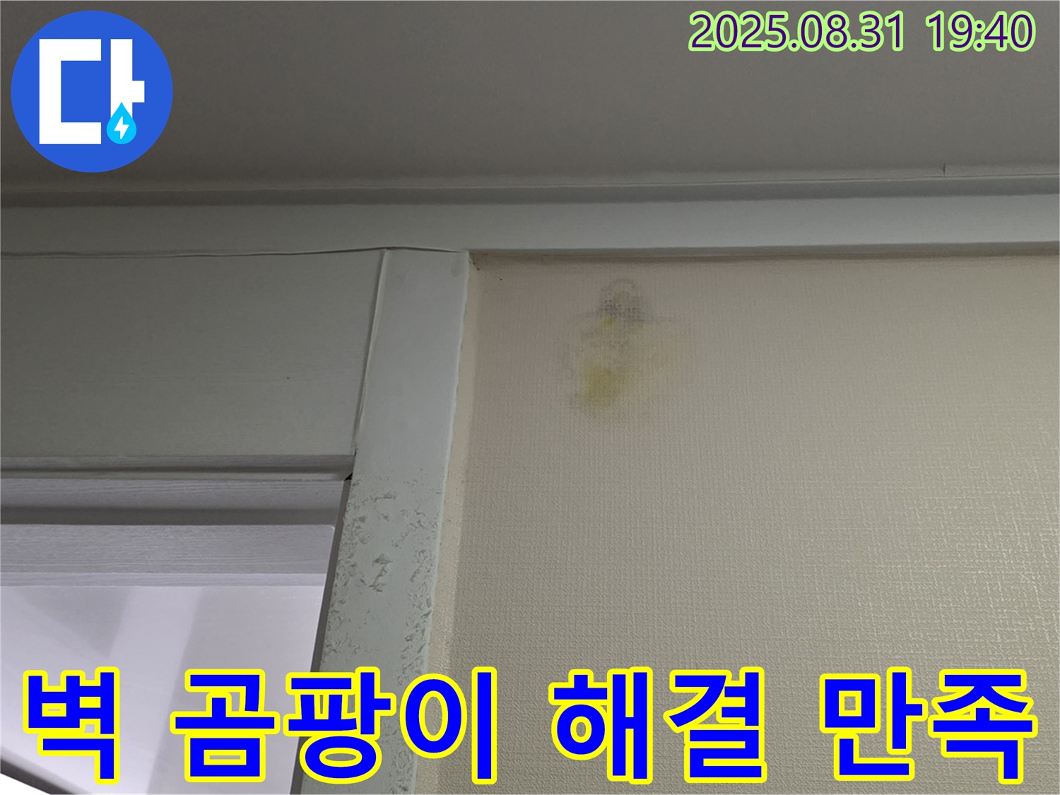 벽 곰팡이 해결 - 분당 정자동 누수 - 100% 만족