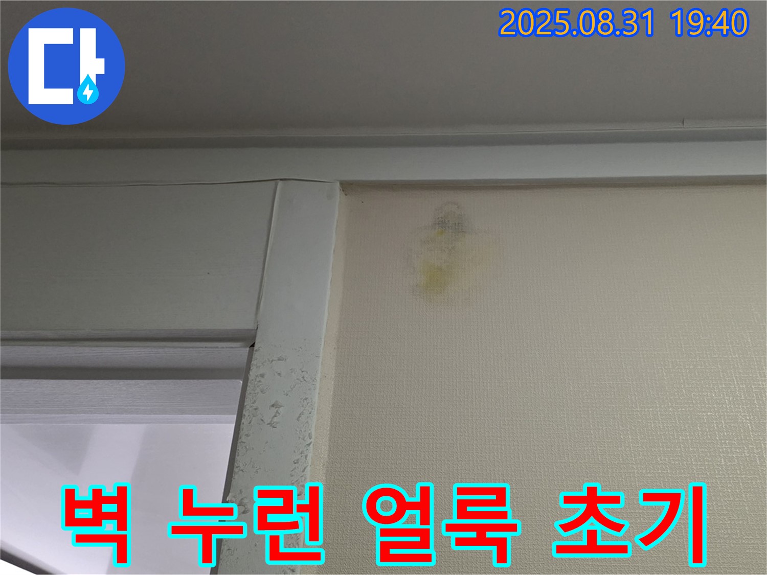 벽 누런 얼룩 초기 증상 - 분당구 금곡동 누수 의심
