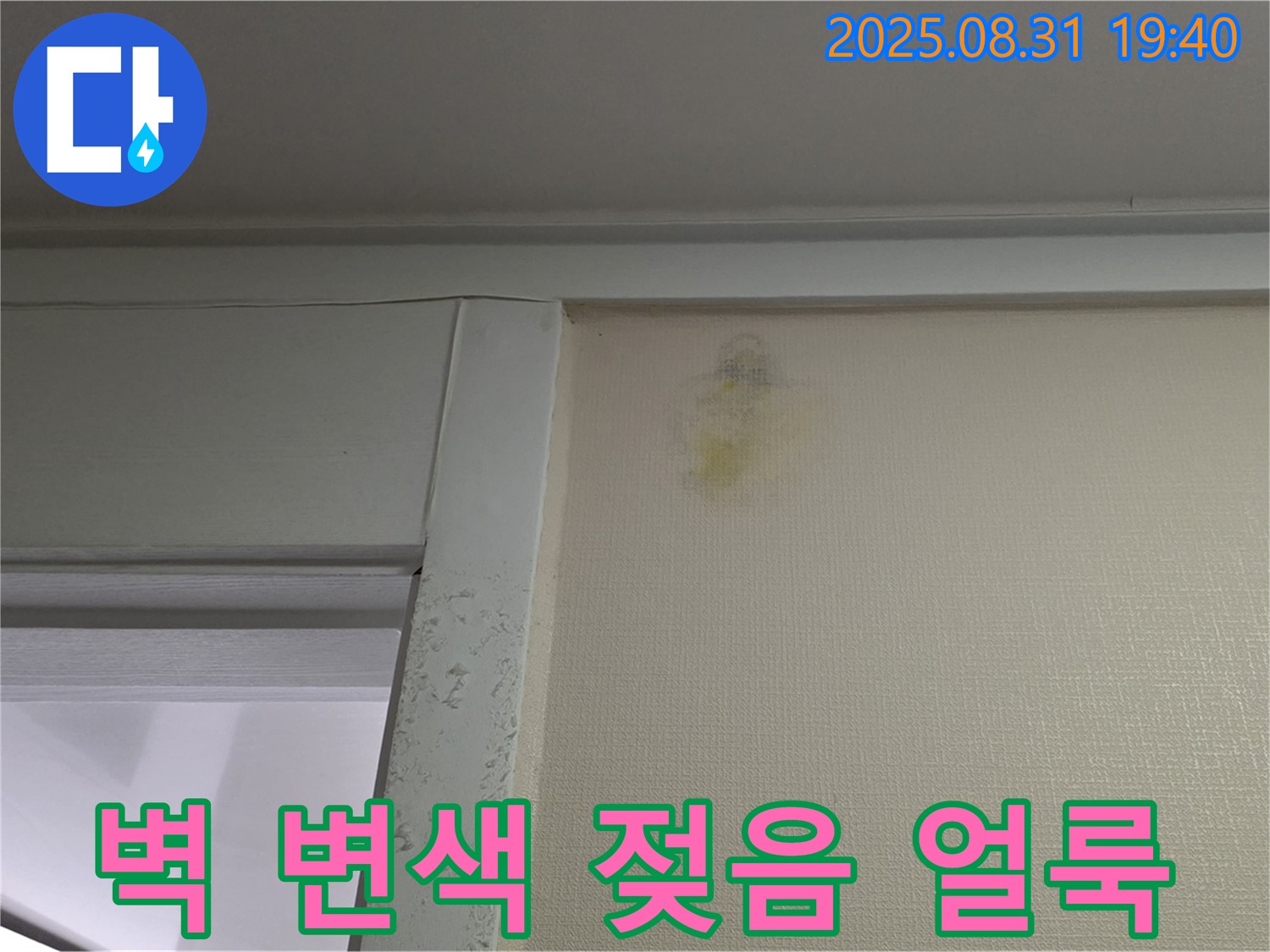 벽 변색 - 젖음 - 얼룩 - 분당 산운로 누수