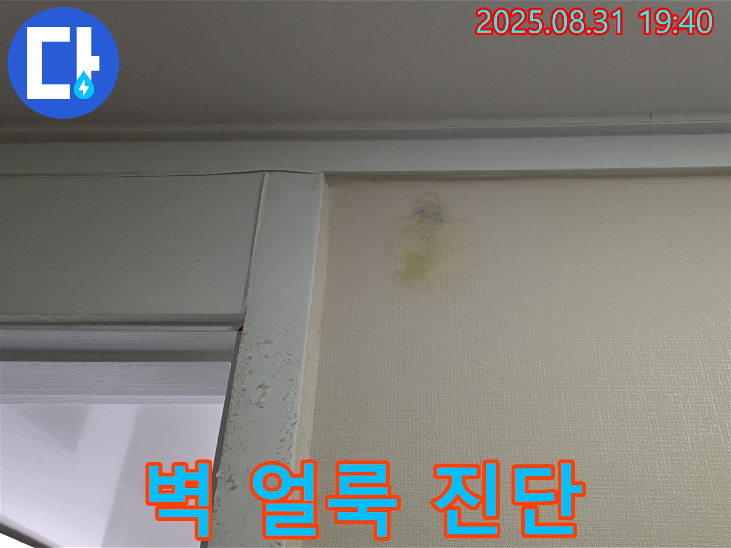 벽 얼룩 진단 - 분당 운중동 누수 - 꼼꼼한 해결