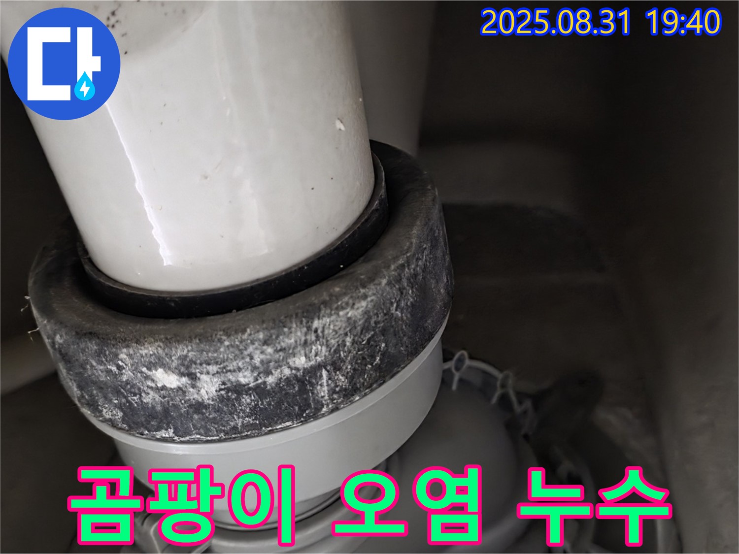 변기 누수 - 곰팡이 - 오염 - 건강 위협