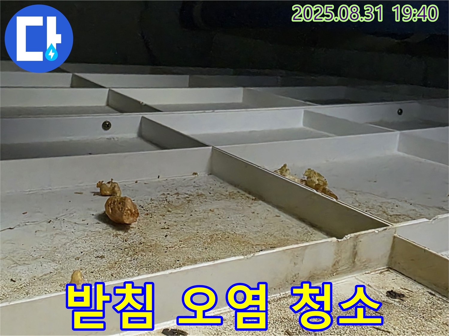 분당 구미동 누수 - 천장 배수 받침 오염, 원인 해결 후 청소 완료