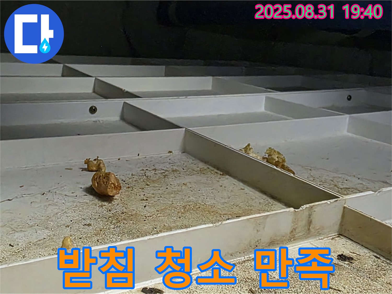 분당 구미동 누수 - 천장 배수 받침 청소, 고객 만족을 최우선으로 생각합니다.