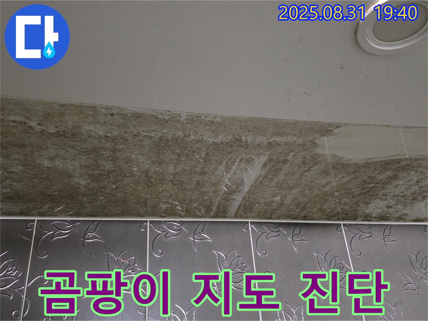 분당 금곡동 욕실 천장 누수 - 곰팡이가 지도처럼 핀 누수, 긴급 진단!