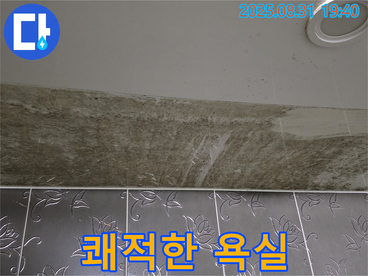 분당 백현동 욕실 천장 누수 - 곰팡이 가득했던 욕실, 쾌적하게 변신했습니다!