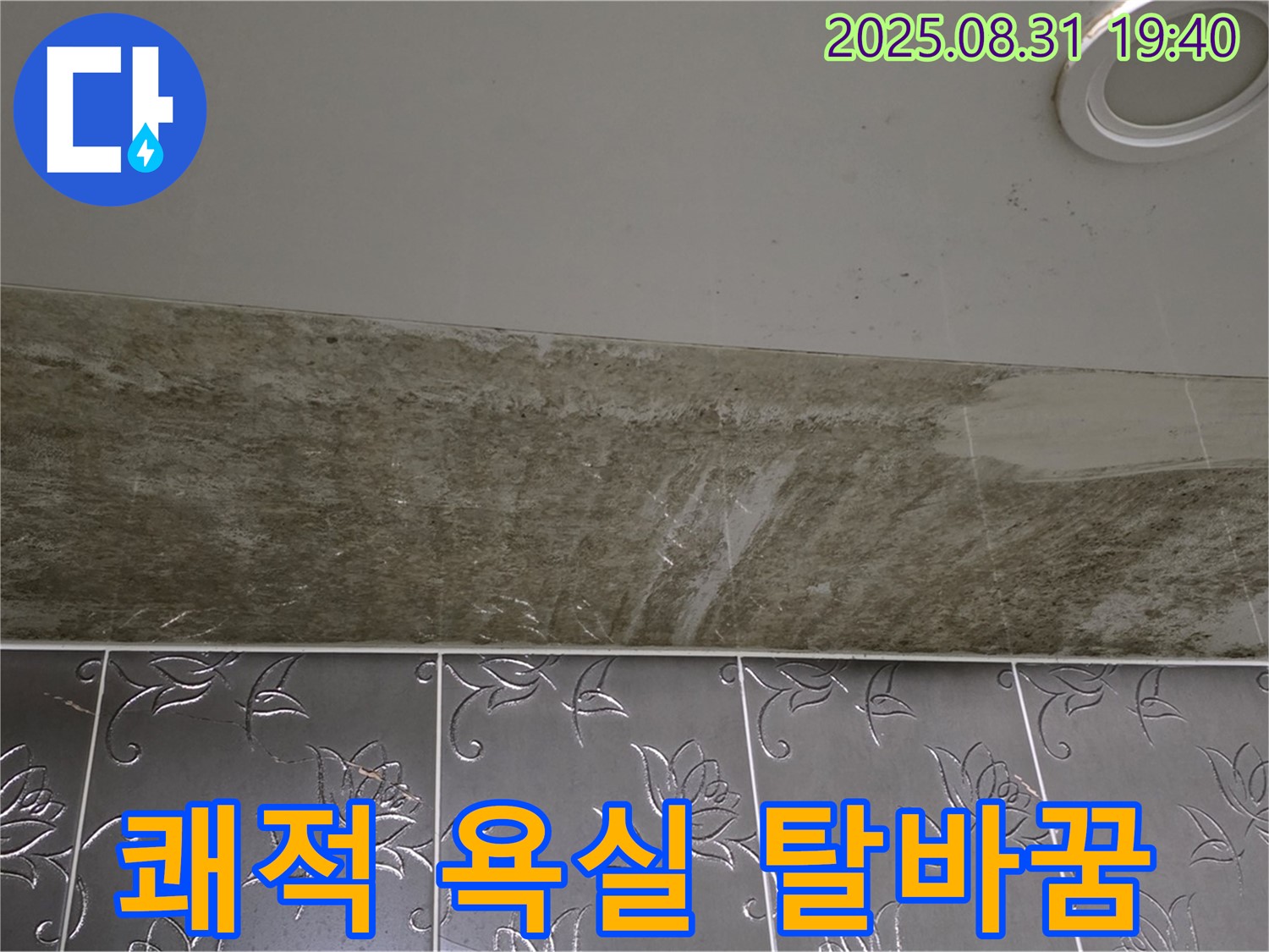 분당 백현동 욕실 천장 누수 - 곰팡이 싹 OUT! 쾌적한 욕실로 완벽 탈바꿈!
