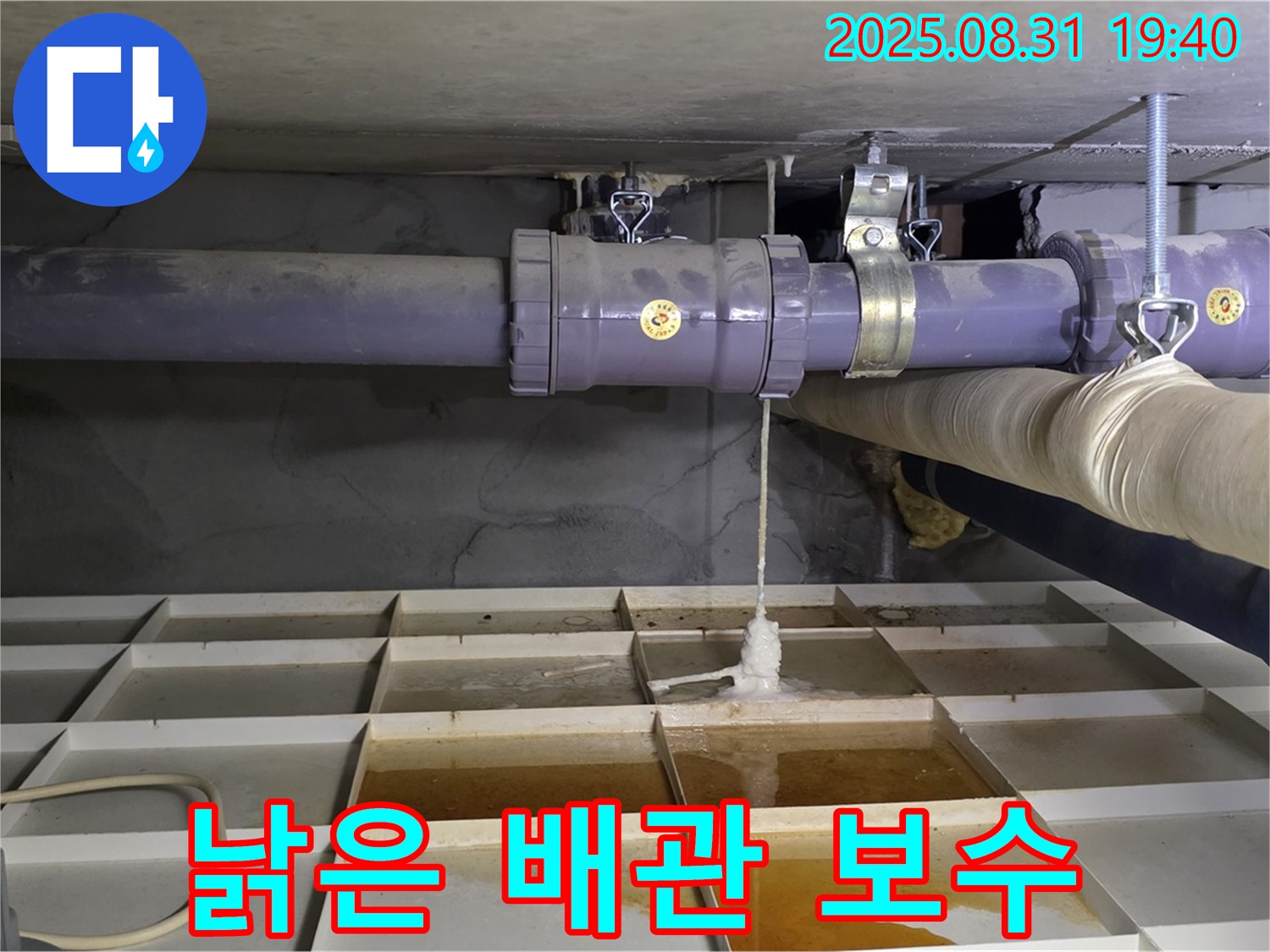 분당 산운동 누수 - 낡은 배관에서 물이 뚝뚝, 긴급 누수 보수 작업 진행