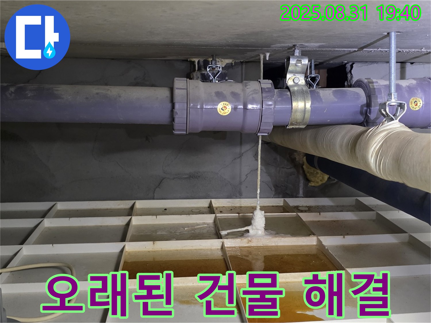 분당 산운동 누수 - 오래된 건물 누수, 정확한 진단과 완벽 시공으로 해결