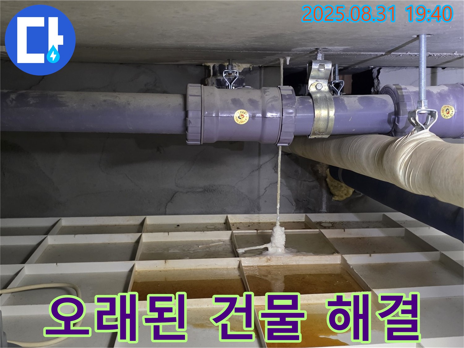 분당 산운동 누수 - 오래된 건물 누수, 확실한 진단과 완벽 시공으로 해결