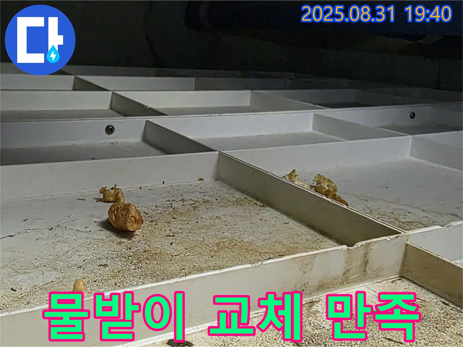 분당 산운동 누수 - 천장 SMC 물받이 교체, 고객 만족을 최우선으로 생각합니다.