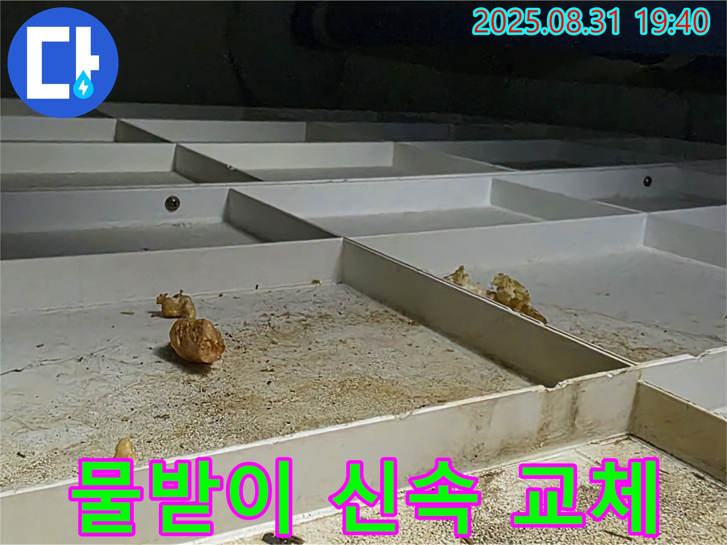 분당 산운동 누수 - 천장 SMC 물받이 신속하게 교체 완료