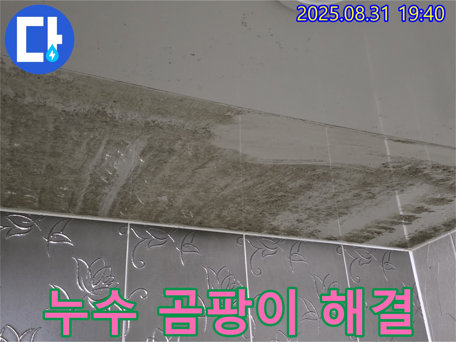 분당 산운동 아파트 욕실 - 누수 해결, 천장 곰팡이 해결 전문가
