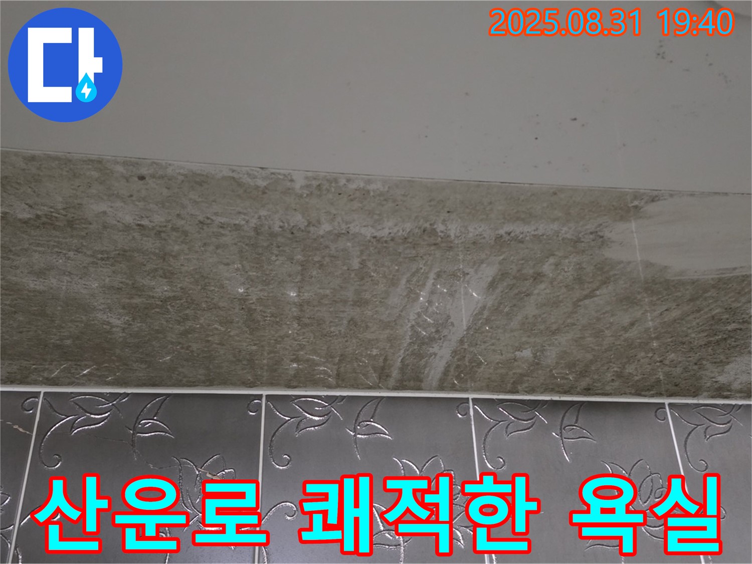 분당 산운로 121 욕실 곰팡이 - 쾌적한 욕실로 변신!