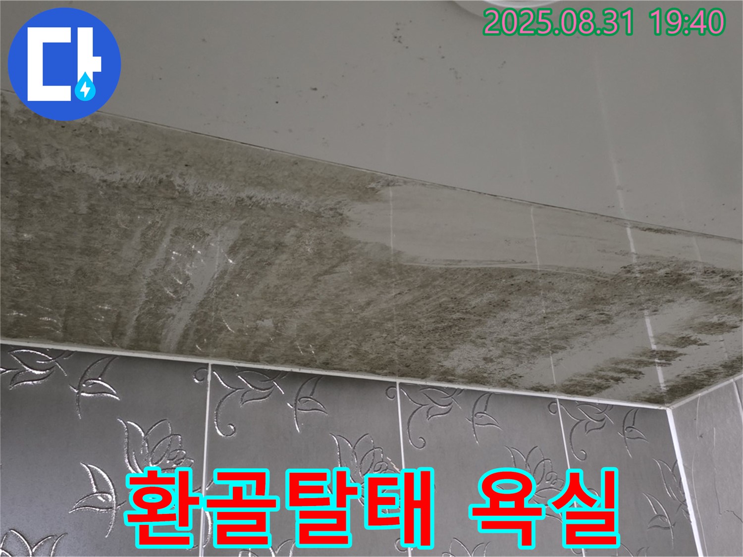분당 산운로 - 곰팡이 천국 욕실 - 깨끗하게 환골탈태