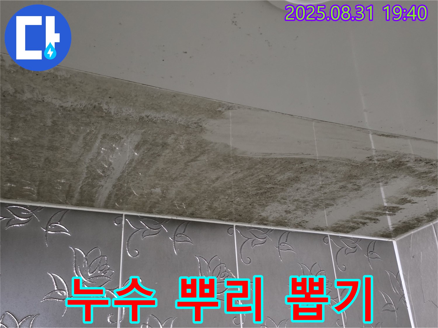 분당 산운로 - 꼼꼼 탐지로 누수 뿌리 뽑기