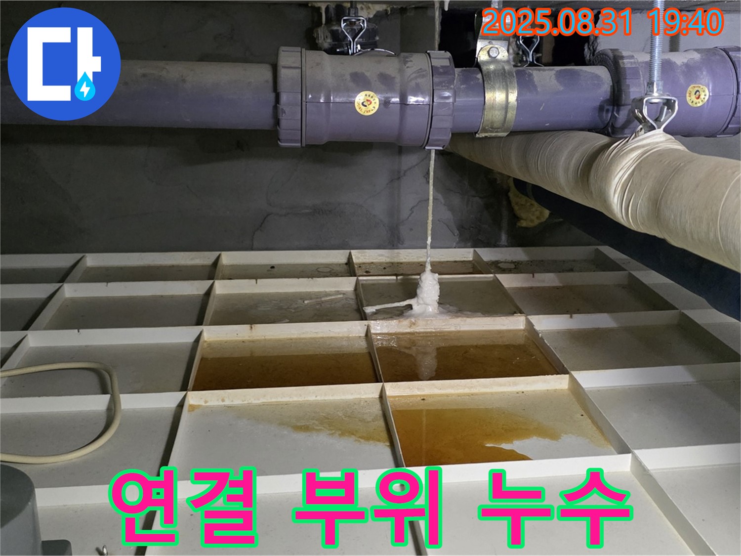 분당 산운로 누수 - 물탱크 연결 부위에서 누수 발생 - 간단한 조임 작업으로 해결했습니다.