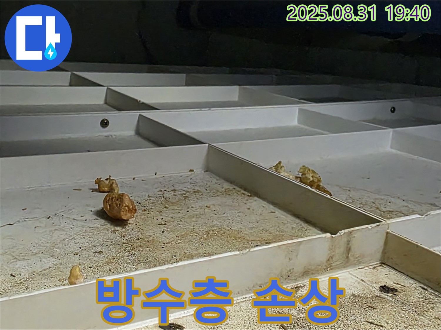 분당 산운로 누수 - 욕실 방수층 손상, 타일 들뜸 현상 발견