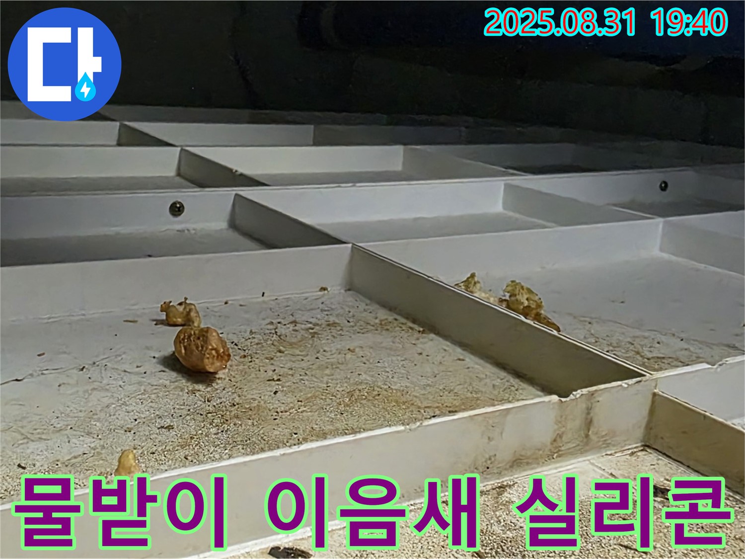 분당 산운로 누수 - 천장 SMC 물받이 이음새 벌어짐, 실리콘 재시공