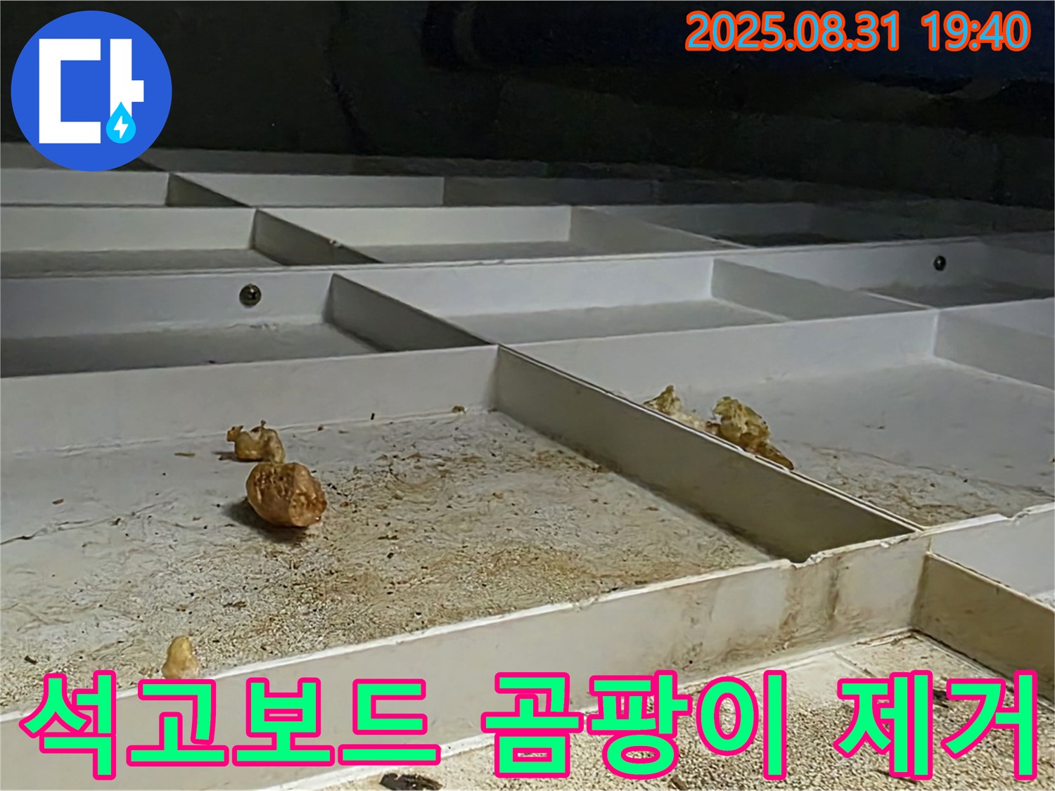 분당 산운로 누수 - 천장 누수로 인한 석고보드 곰팡이 제거 및 방지 시공