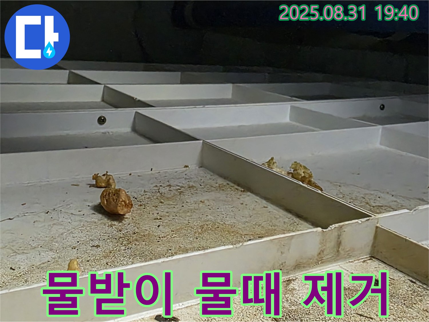 분당 산운로 누수 - 천장 물받이 낡은 물때 제거하고 청결 유지