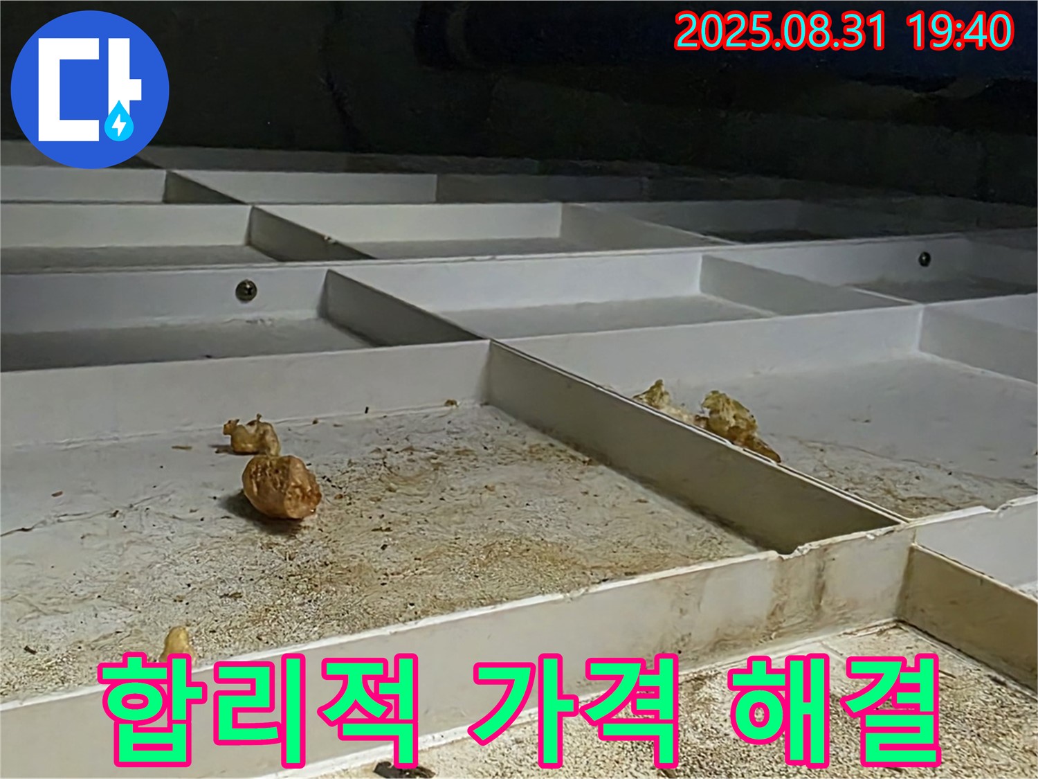 분당 산운로 누수 - 합리적인 가격으로 누수 문제 완벽 해결