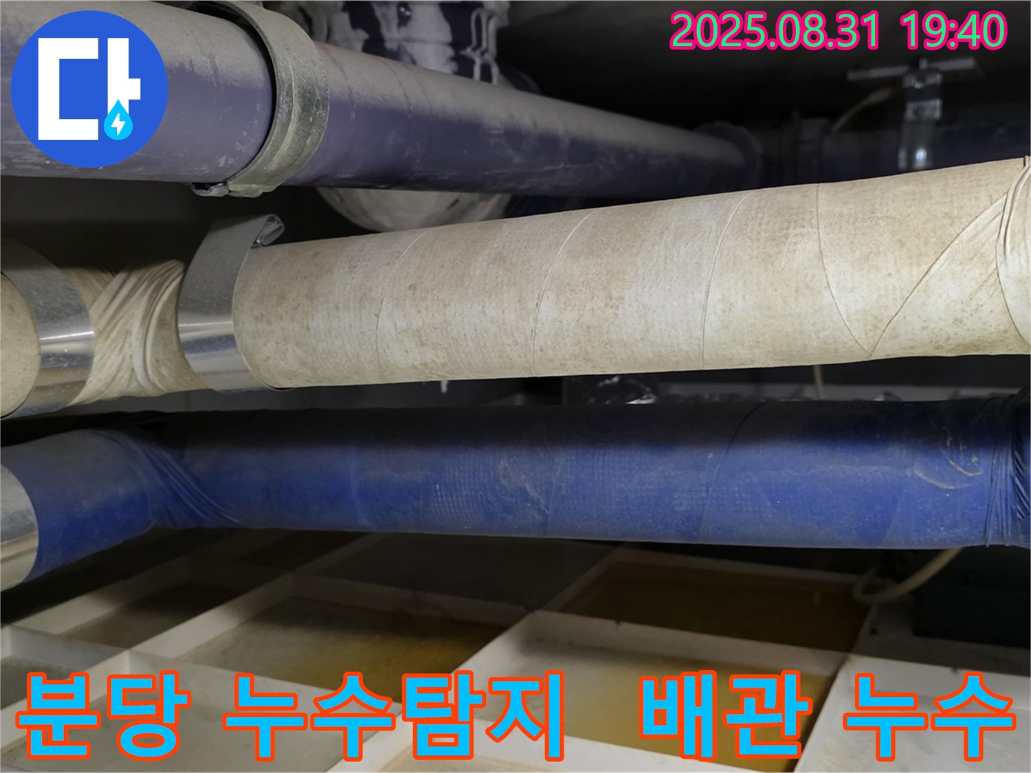 분당 산운로 주택 누수 - 노후 배관 점검 및 누수 탐지 과정