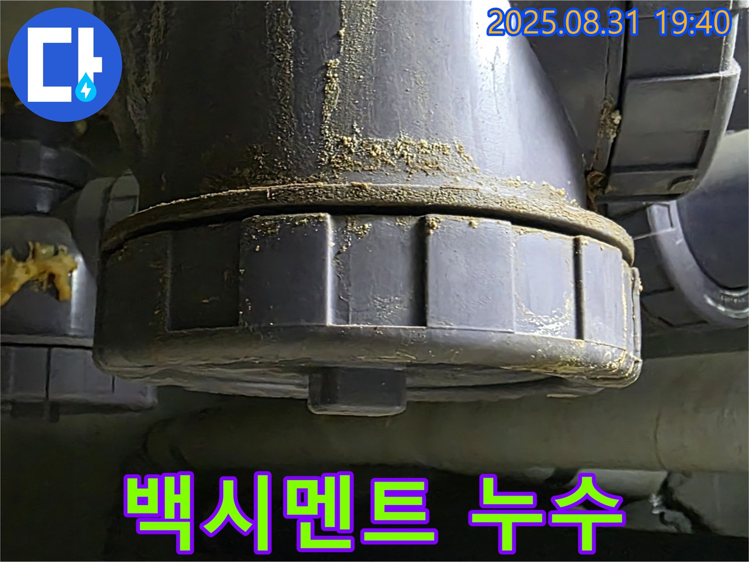 분당 산운로 주택 누수 - 백시멘트 땜질 부위에서 누수가 발생하고 있습니다