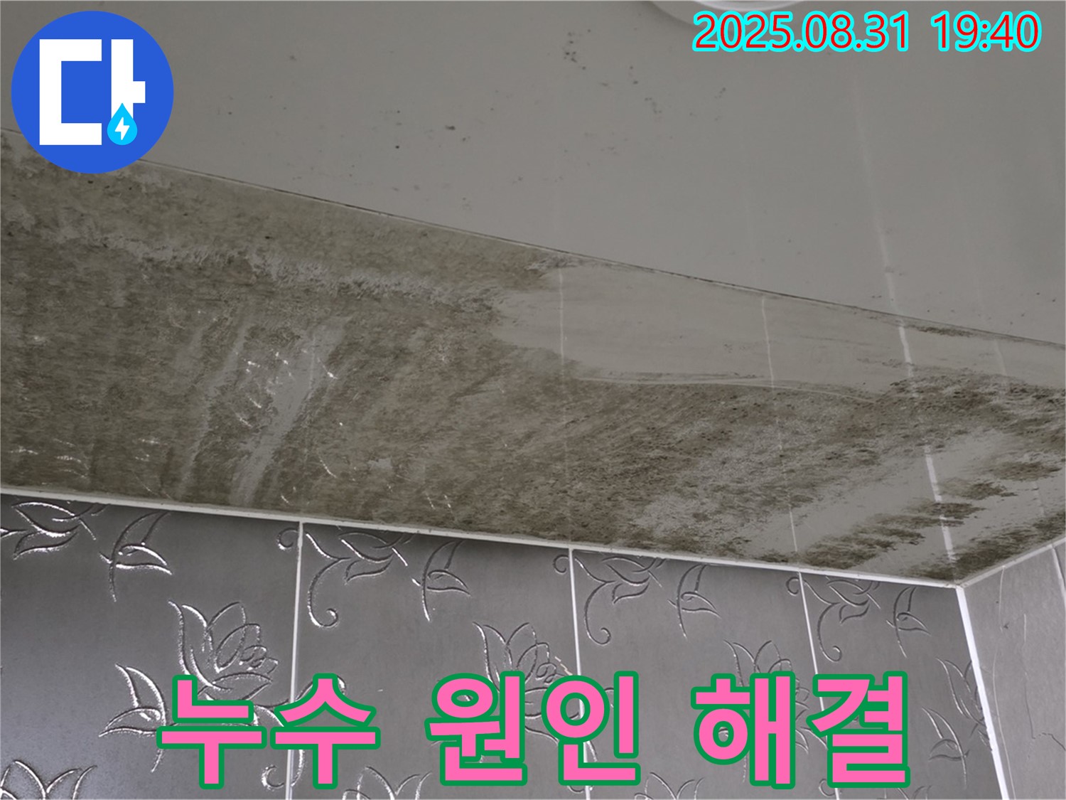 분당 산운로 - 천장 누수 해결, 곰팡이 제거까지