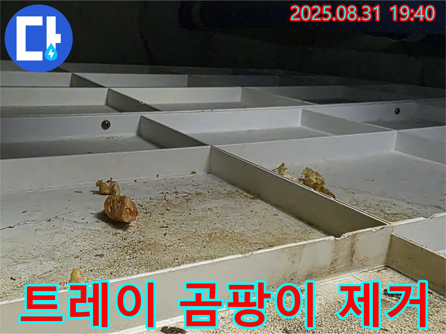 분당 삼평동 누수 - 천장 배수 트레이 곰팡이 흔적 깨끗하게 제거