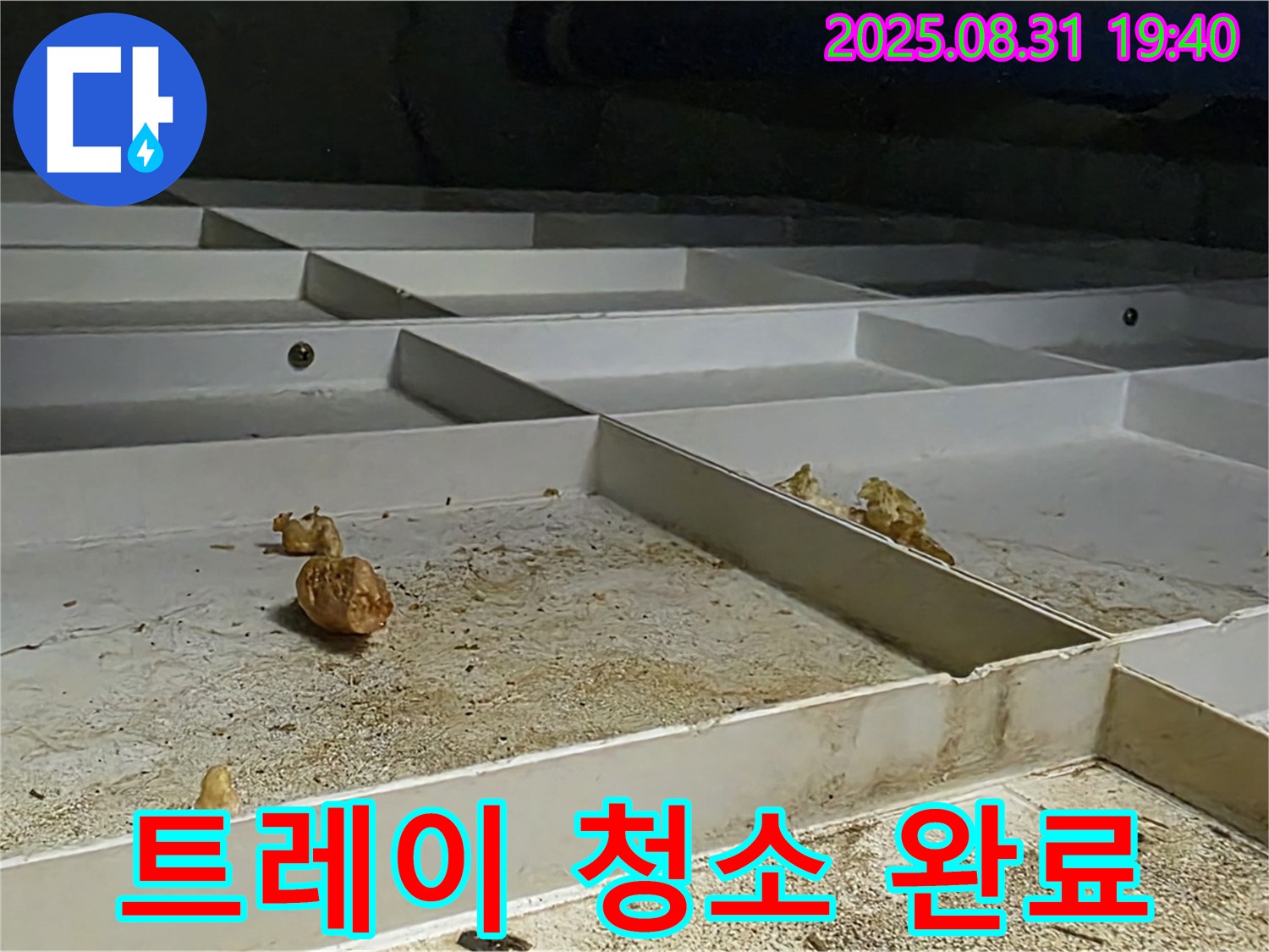 분당 삼평동 누수 - 천장 배수 트레이 꼼꼼하게 청소 완료