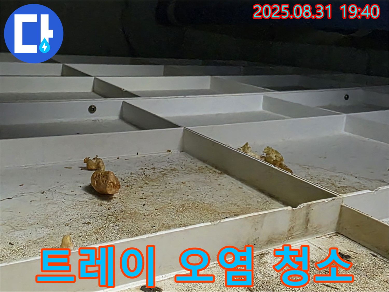 분당 삼평동 누수 - 천장 배수 트레이 오염, 누수 해결 후 깨끗하게 청소