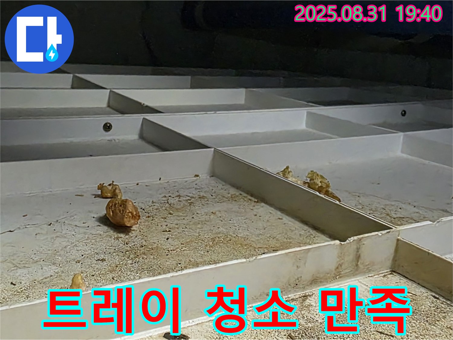 분당 삼평동 누수 - 천장 배수 트레이 청소, 고객 만족을 최우선으로 생각합니다.