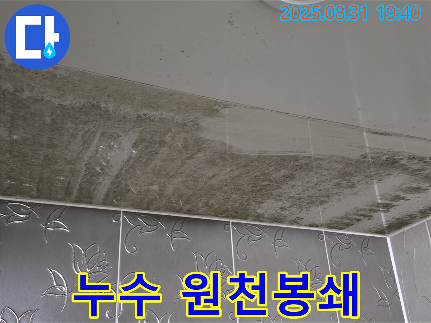 분당 운중동 - 누수 원천봉쇄 - 곰팡이 완벽 제거