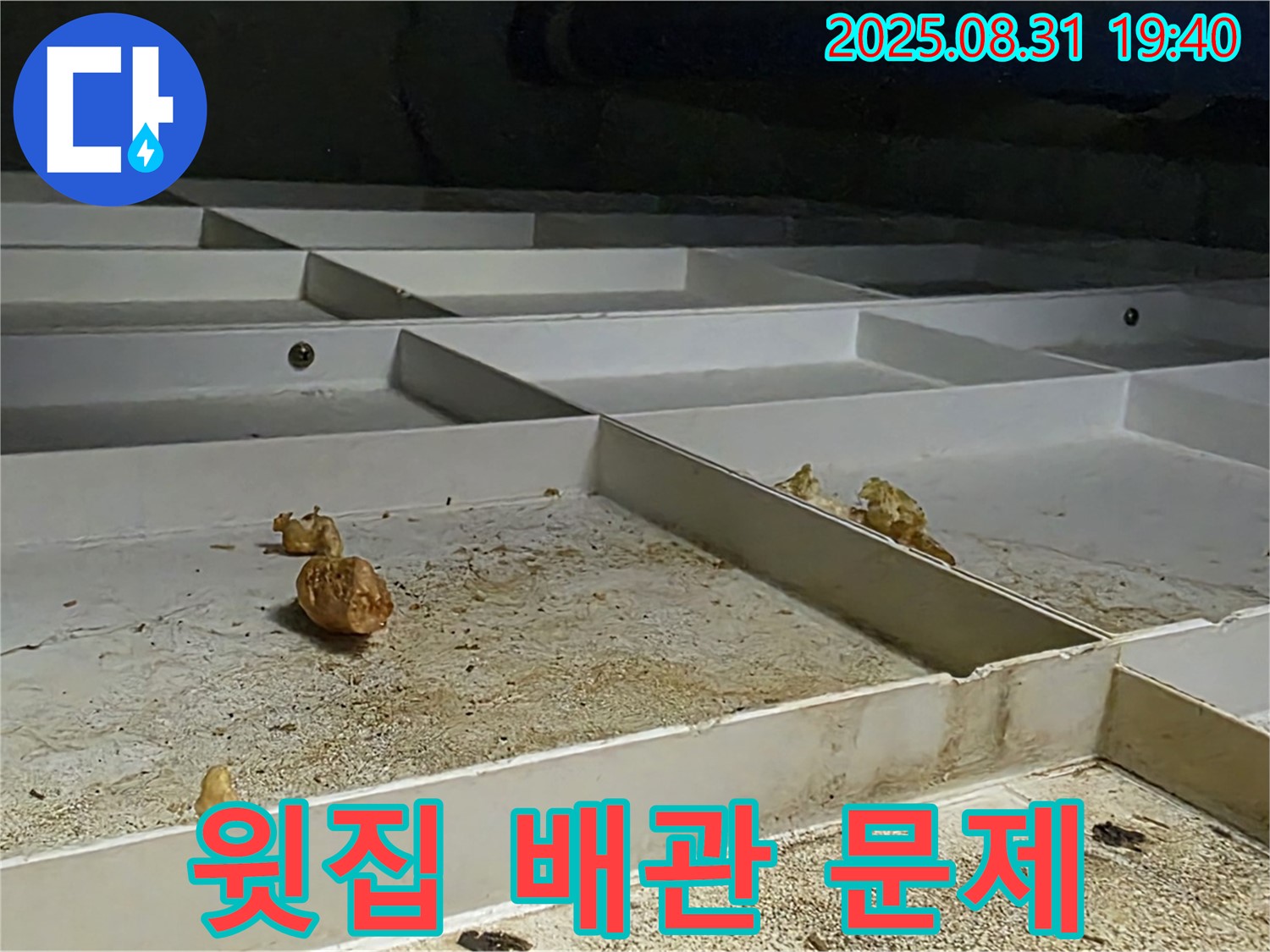 분당 이매동 누수 - 윗집 배관 문제로 인한 누수 발생
