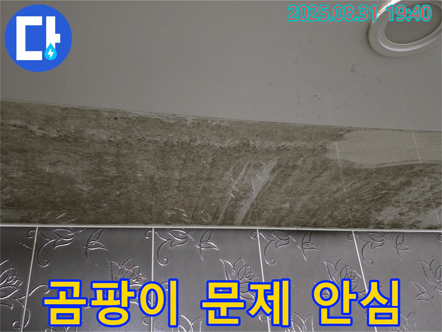 분당 정자동 욕실 천장 누수 - 곰팡이 문제까지 완벽하게 해결! 이제 안심하세요!